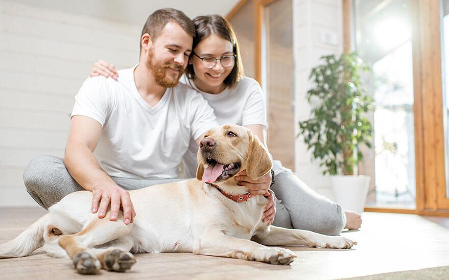 Young couple playing with their dog
